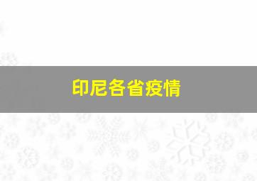 印尼各省疫情