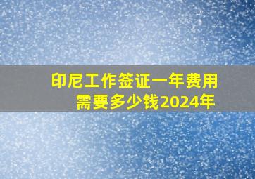 印尼工作签证一年费用需要多少钱2024年