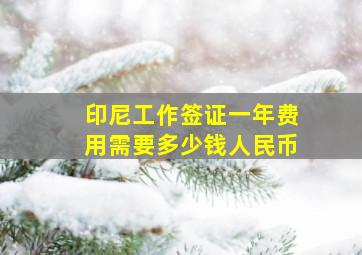 印尼工作签证一年费用需要多少钱人民币