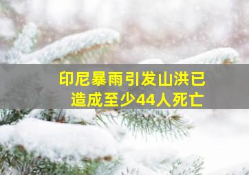 印尼暴雨引发山洪已造成至少44人死亡