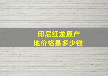 印尼红龙原产地价格是多少钱