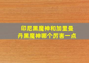 印尼黑魔神和加里曼丹黑魔神哪个厉害一点