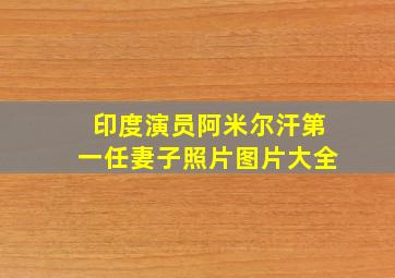 印度演员阿米尔汗第一任妻子照片图片大全