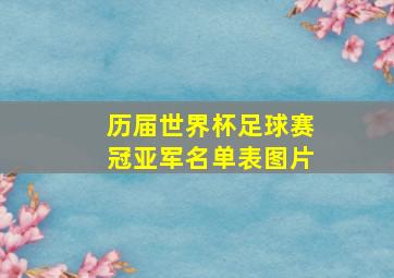 历届世界杯足球赛冠亚军名单表图片