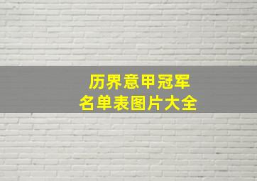 历界意甲冠军名单表图片大全