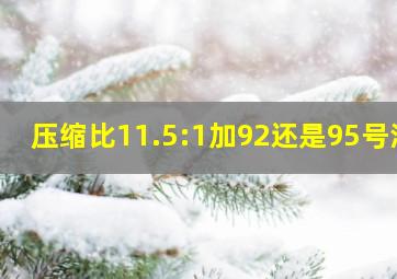 压缩比11.5:1加92还是95号油