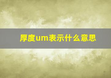 厚度um表示什么意思