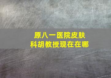 原八一医院皮肤科胡教授现在在哪