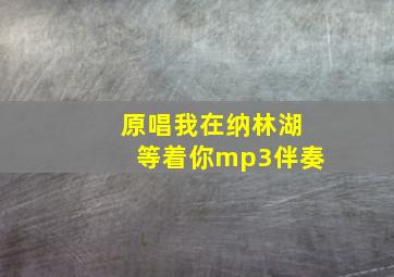 原唱我在纳林湖等着你mp3伴奏