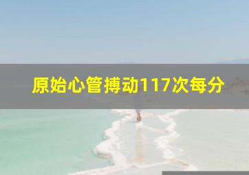 原始心管搏动117次每分