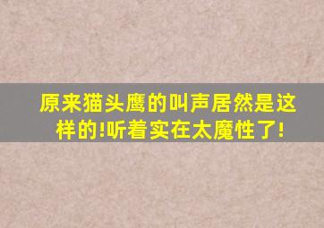 原来猫头鹰的叫声居然是这样的!听着实在太魔性了!