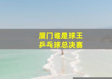 厦门谁是球王乒乓球总决赛