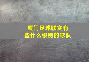 厦门足球联赛有些什么级别的球队