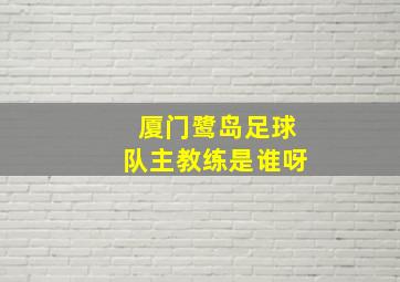 厦门鹭岛足球队主教练是谁呀