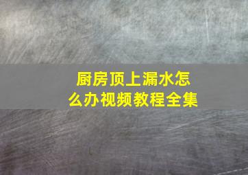 厨房顶上漏水怎么办视频教程全集