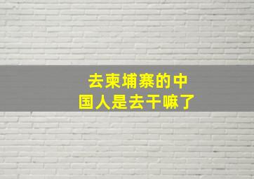 去柬埔寨的中国人是去干嘛了