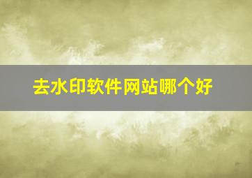 去水印软件网站哪个好