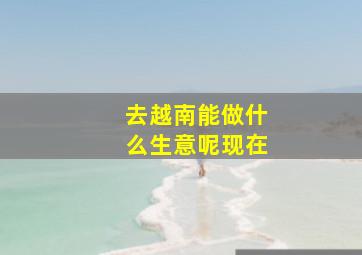 去越南能做什么生意呢现在