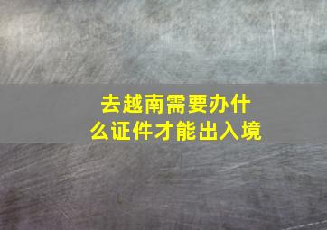 去越南需要办什么证件才能出入境