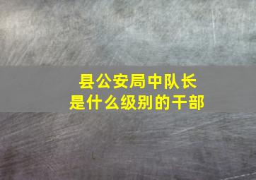 县公安局中队长是什么级别的干部