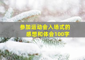 参加运动会入场式的感想和体会100字