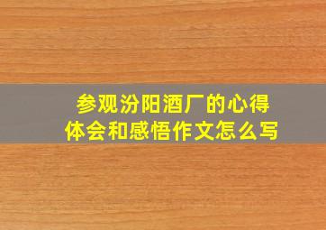 参观汾阳酒厂的心得体会和感悟作文怎么写