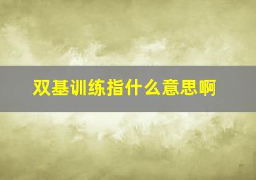 双基训练指什么意思啊