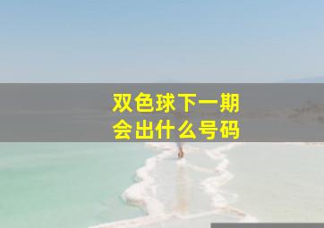 双色球下一期会出什么号码