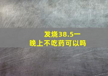 发烧38.5一晚上不吃药可以吗