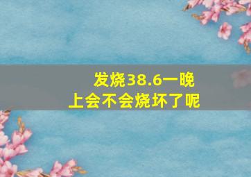 发烧38.6一晚上会不会烧坏了呢