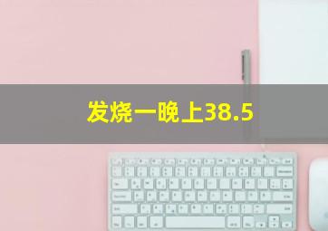 发烧一晚上38.5