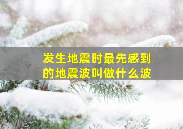 发生地震时最先感到的地震波叫做什么波