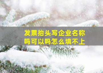 发票抬头写企业名称吗可以吗怎么填不上