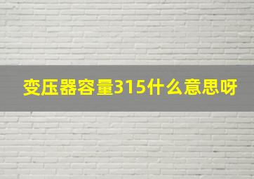 变压器容量315什么意思呀