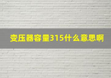 变压器容量315什么意思啊