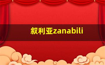 叙利亚zanabili