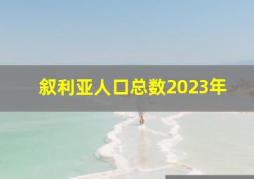 叙利亚人口总数2023年