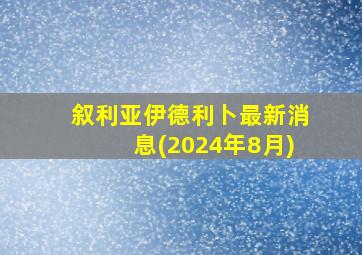 叙利亚伊德利卜最新消息(2024年8月)