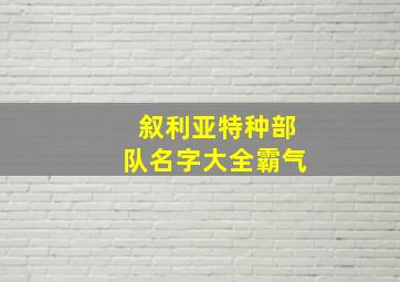 叙利亚特种部队名字大全霸气