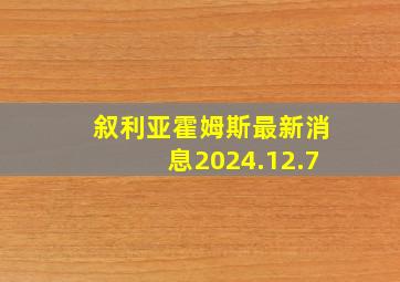 叙利亚霍姆斯最新消息2024.12.7