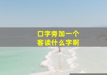 口字旁加一个客读什么字啊