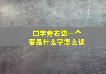 口字旁右边一个客是什么字怎么读