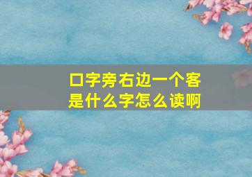 口字旁右边一个客是什么字怎么读啊