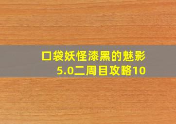 口袋妖怪漆黑的魅影5.0二周目攻略10