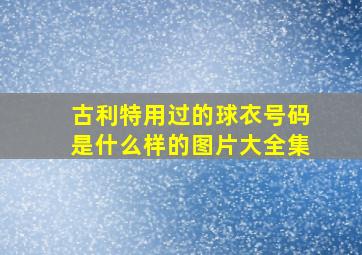 古利特用过的球衣号码是什么样的图片大全集