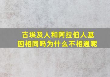 古埃及人和阿拉伯人基因相同吗为什么不相通呢