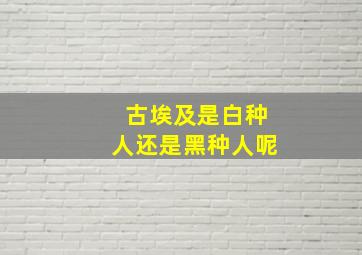 古埃及是白种人还是黑种人呢