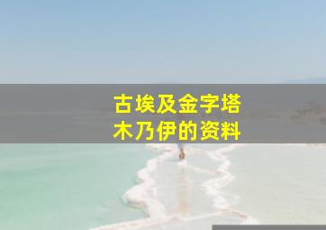 古埃及金字塔木乃伊的资料