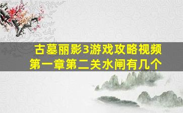 古墓丽影3游戏攻略视频第一章第二关水闸有几个