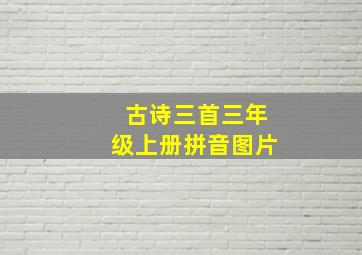 古诗三首三年级上册拼音图片